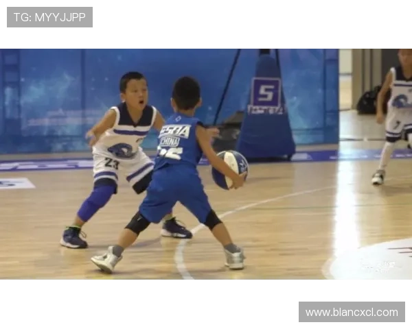 北京篮球队在精英赛中的实力分析与表现评估