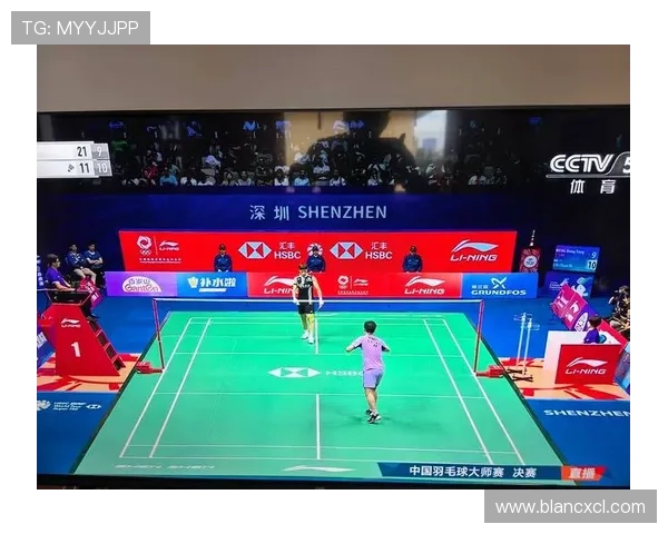 深圳羽毛球队的训练与比赛节奏探秘：深度解析运动员的成长与挑战